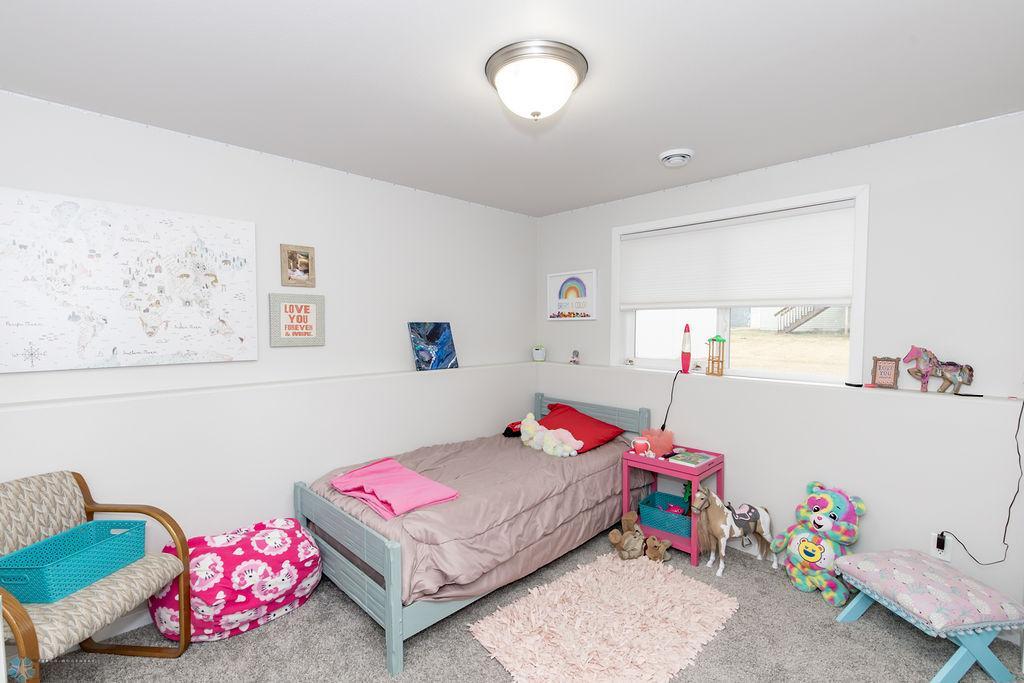 Lower Level - Bedroom #2