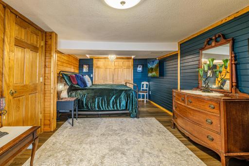 Primary suite in lower level features spacious walk-in closet as well as additional closet