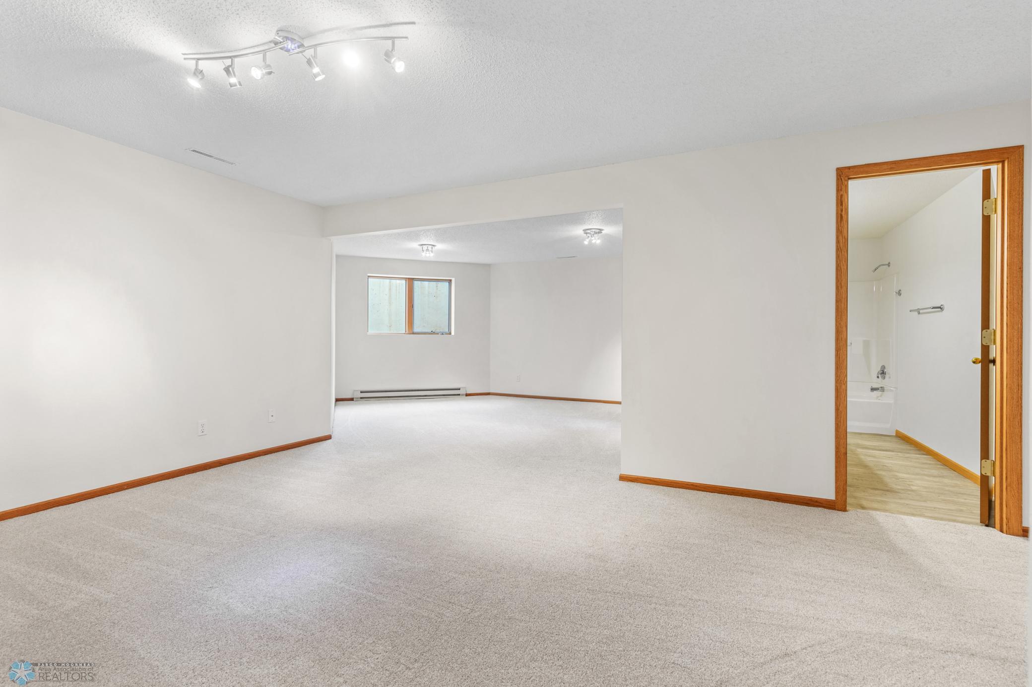 Lower Level Family Room