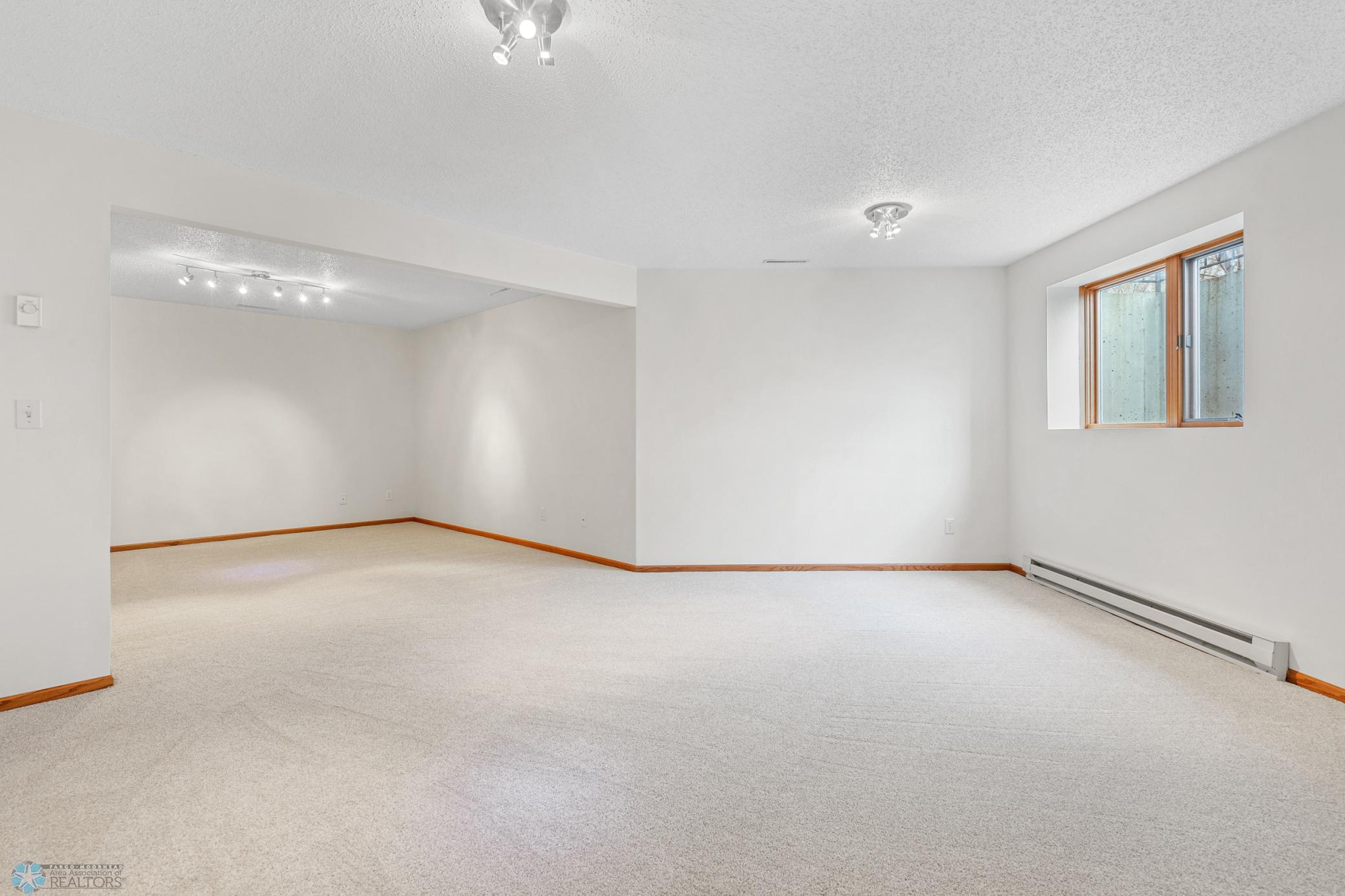 Lower Level Family Room