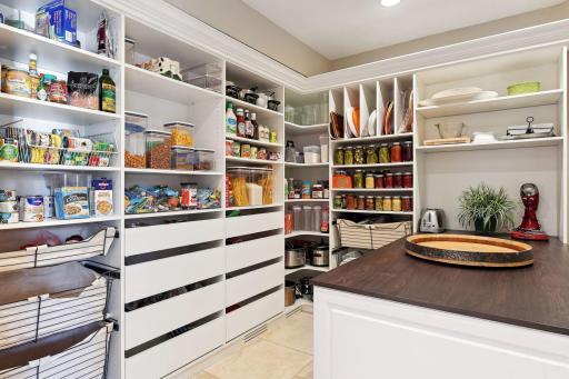 Step into the pantry of your dreams! A spacious and organized haven where everything has it's place. Ample storage and shelving solutions with prep space as well.