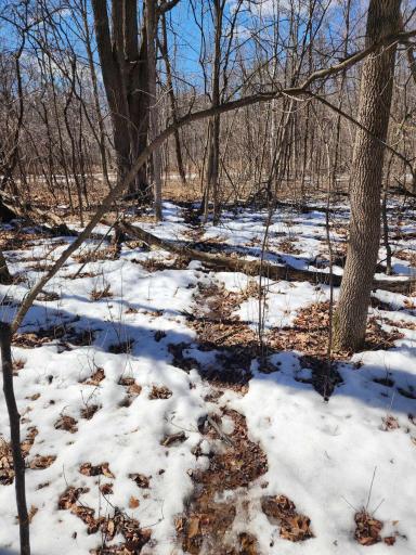 Photo for 18625 Feather Lane, Pine City, MN 55063 - Listing #6516797 18625 Feather Lane, Pine City, MN 55063