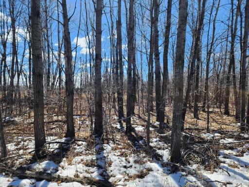 Photo for 18625 Feather Lane, Pine City, MN 55063 - Listing #6516797 18625 Feather Lane, Pine City, MN 55063