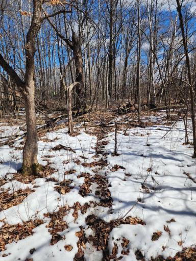 Photo for 18625 Feather Lane, Pine City, MN 55063 - Listing #6516797 18625 Feather Lane, Pine City, MN 55063