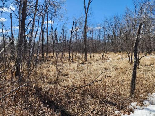 Photo for 18625 Feather Lane, Pine City, MN 55063 - Listing #6516797 18625 Feather Lane, Pine City, MN 55063