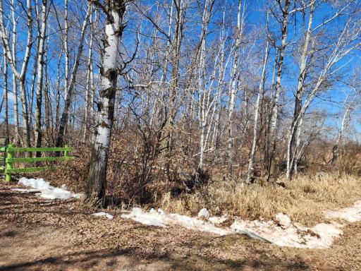 Photo for 18625 Feather Lane, Pine City, MN 55063 - Listing #6516797 18625 Feather Lane, Pine City, MN 55063
