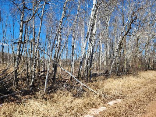 Photo for 18625 Feather Lane, Pine City, MN 55063 - Listing #6516797 18625 Feather Lane, Pine City, MN 55063