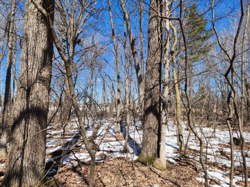 Photo for 18625 Feather Lane, Pine City, MN 55063 - Listing #6516797 18625 Feather Lane, Pine City, MN 55063