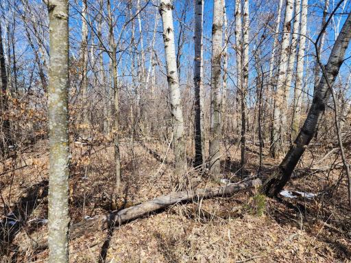 Photo for 18625 Feather Lane, Pine City, MN 55063 - Listing #6516797 18625 Feather Lane, Pine City, MN 55063