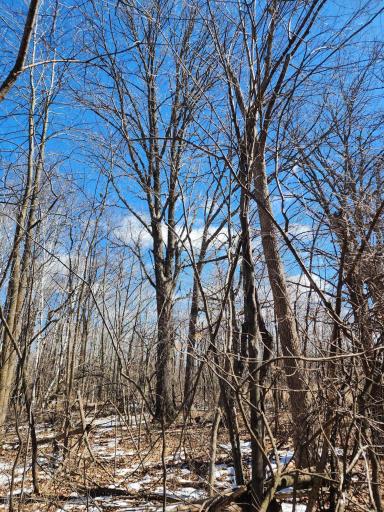 Photo for 18625 Feather Lane, Pine City, MN 55063 - Listing #6516797 18625 Feather Lane, Pine City, MN 55063
