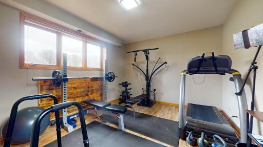 Lower level Office/Exercise room with large windows for lots of nautral light