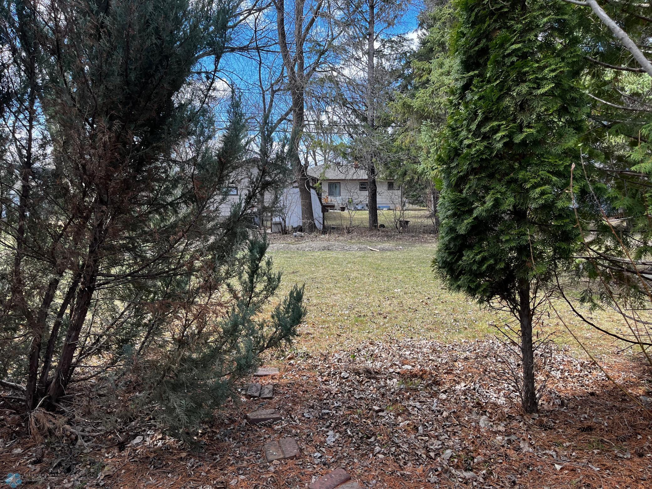 Backyard jpeg