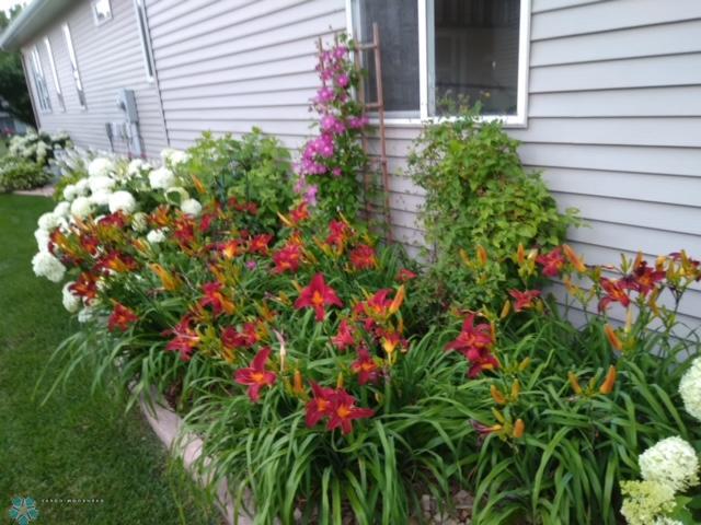 image2 (1) - Copy.jpeg