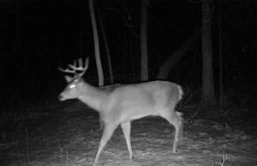 Hunter, lover or both this is your place!
