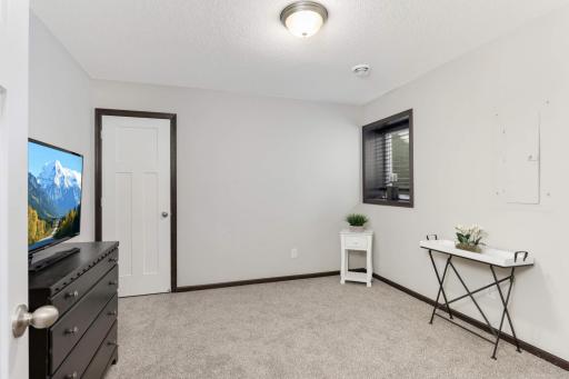 Nice Size Lower Level Bedroom with walk-in closet