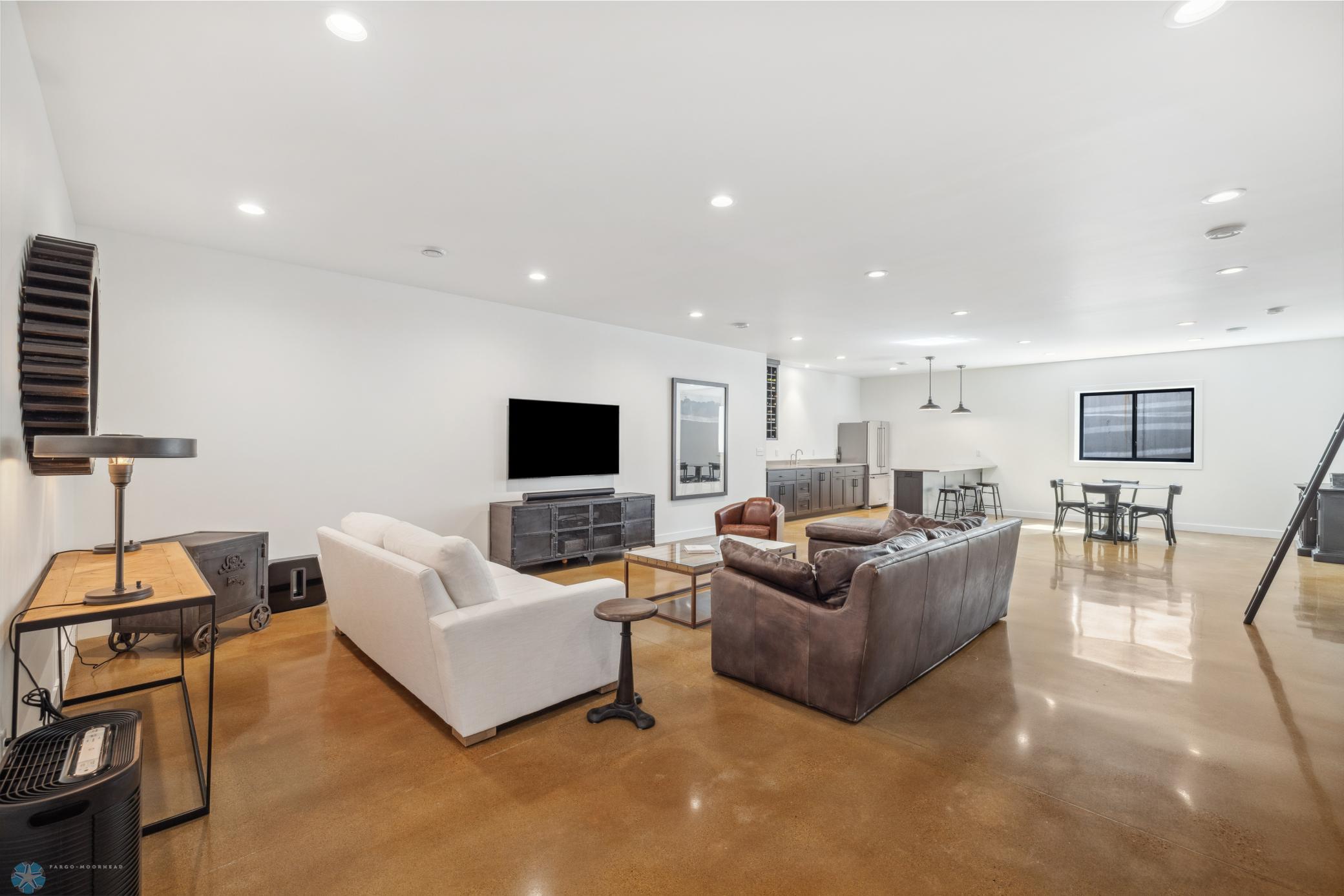 Basement Living Area