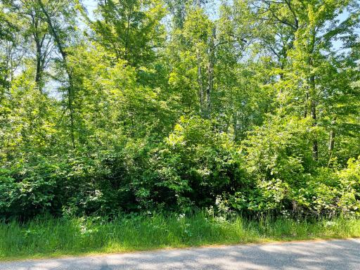 Breathtaking lot spanning across .73 acres of heavily wooded land, an ideal location for your forever home. .jpg