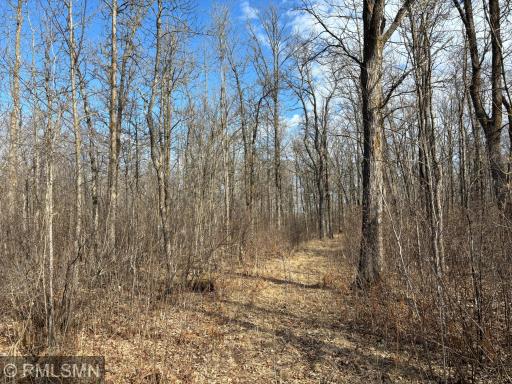 55133 Great River Road, Palisade, MN 56469