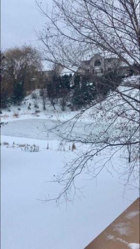 In the winter, the pond can be used as a hockey rink, too.