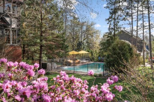 There is lots of landscaped privacy screening surrounding the fenced pool.