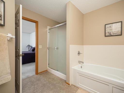 The spacious master bath with a separate shower and a jacuzzi tub (tub new in 2020).