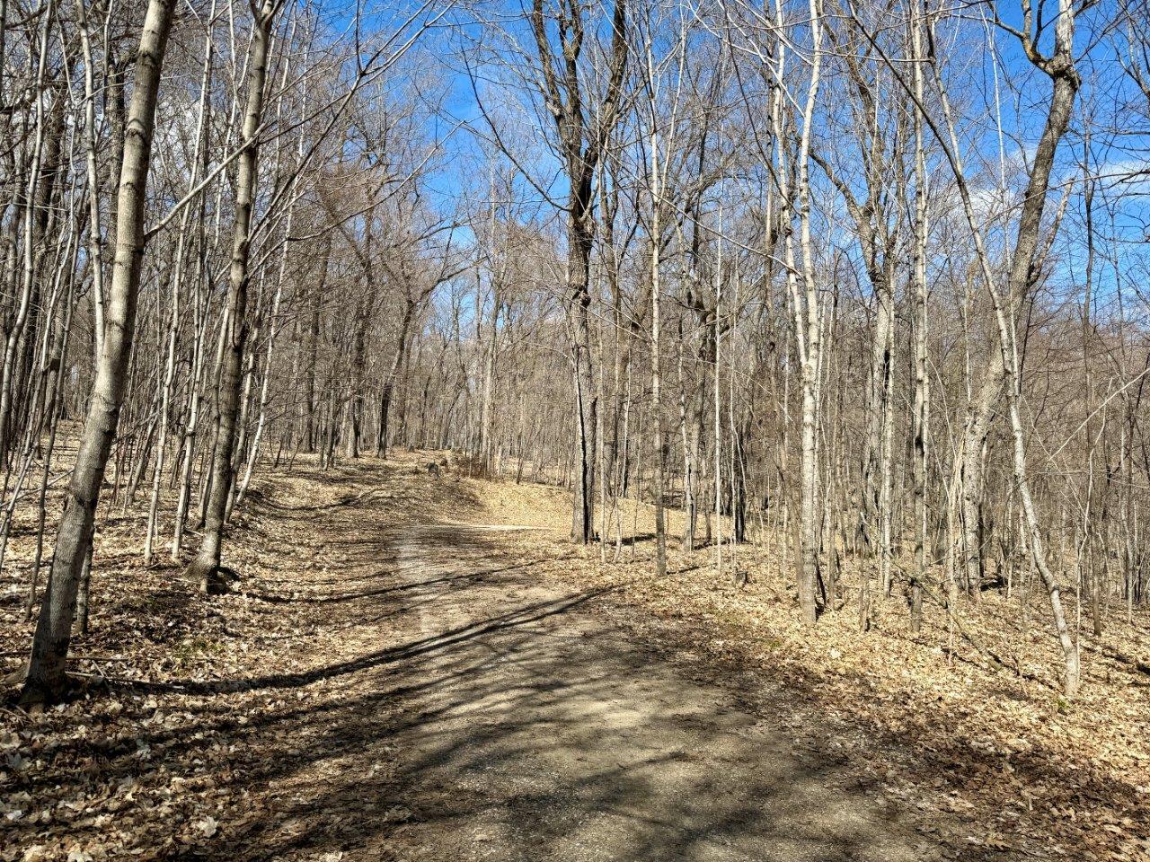 8-Road coming in for Tract A and Tract B.jpg