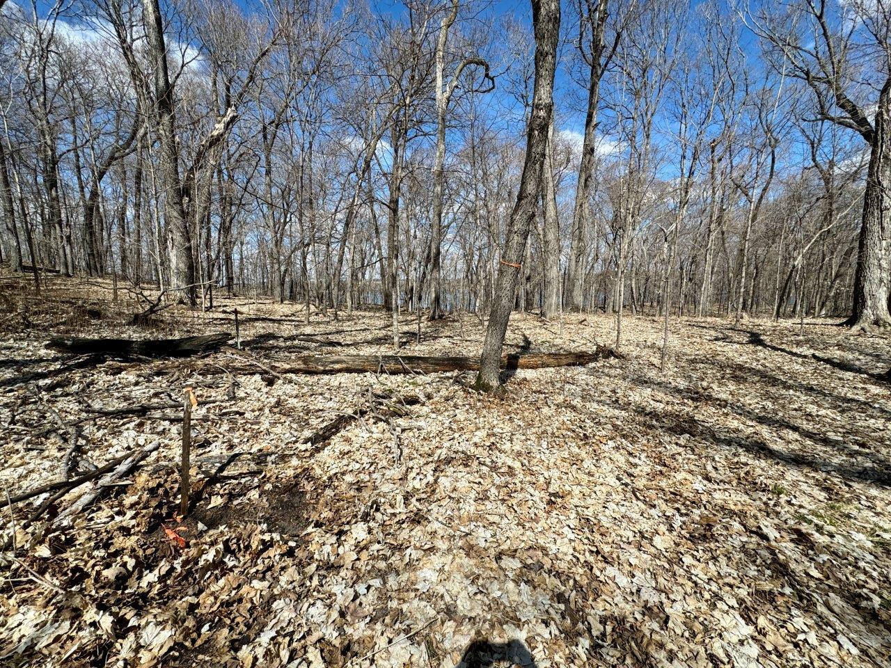 7-Tract A - stake with orange tape marks SW corner of Tract A.jpg