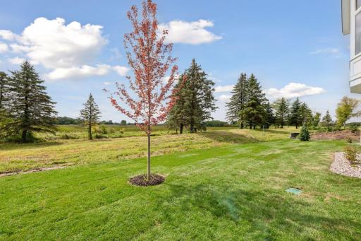 1573 Marsh Pointe Court, Medina, MN 55340