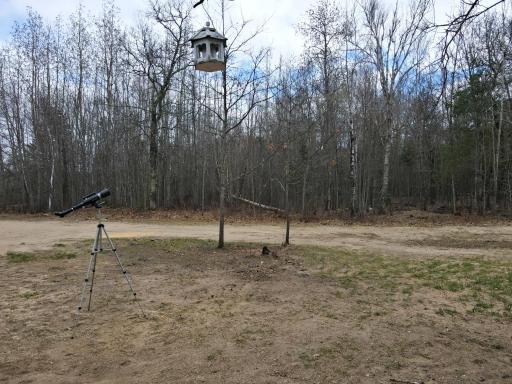 DRIVEWAY AND FRONT YARD