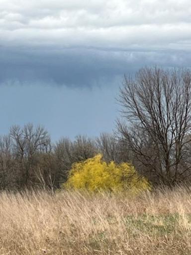 Lot 52 504th Ave, Prescott, WI 54021