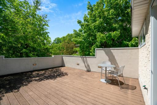 Enjoy your own private deck overlooking the treetops of the Cedar-Isles Dean neighborhood