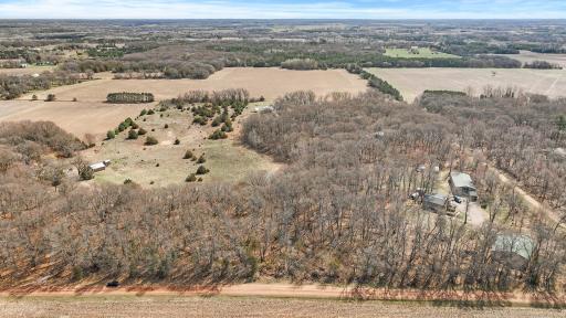 Great mix of woods and open