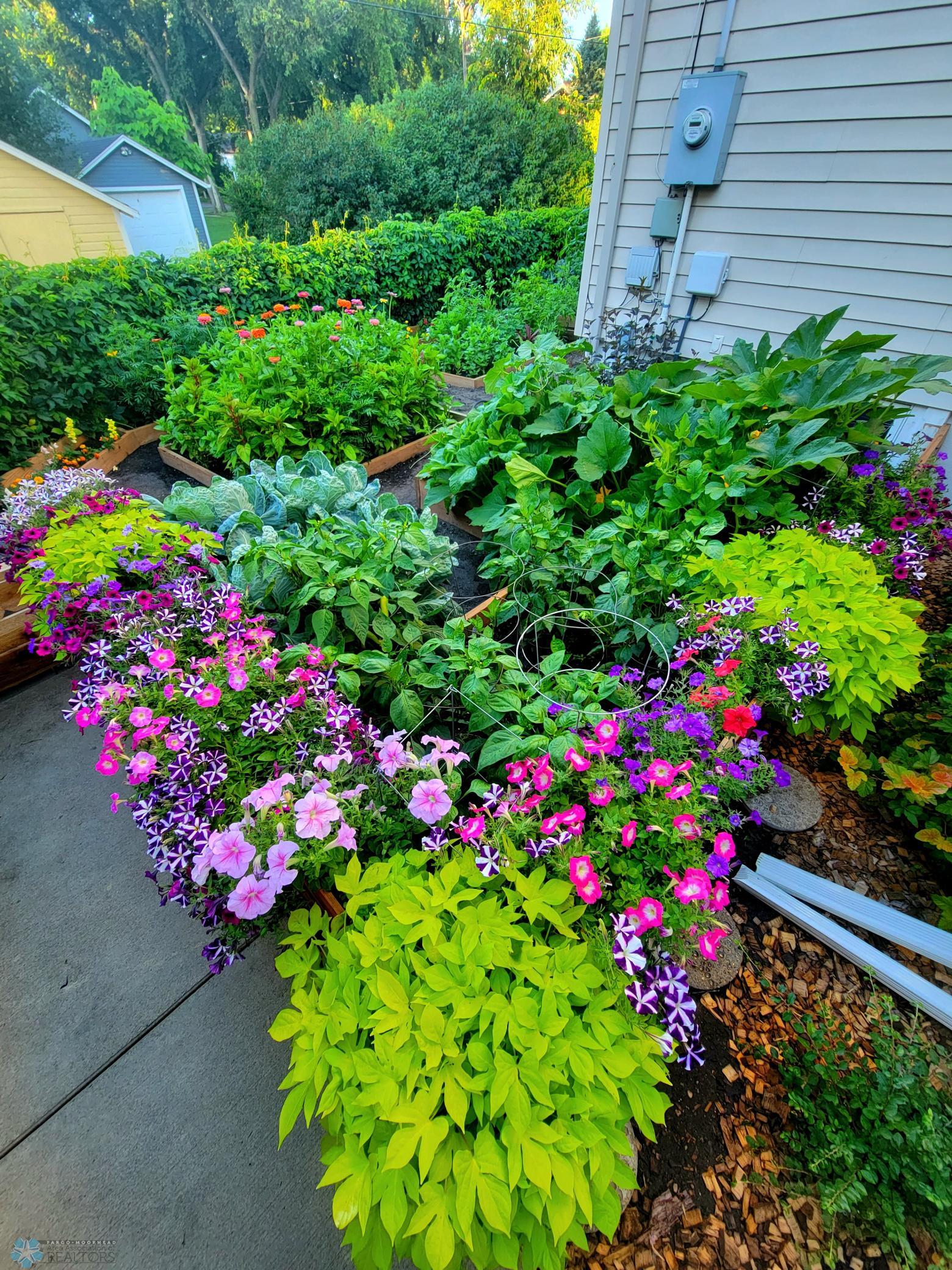 Raised Garden Beds