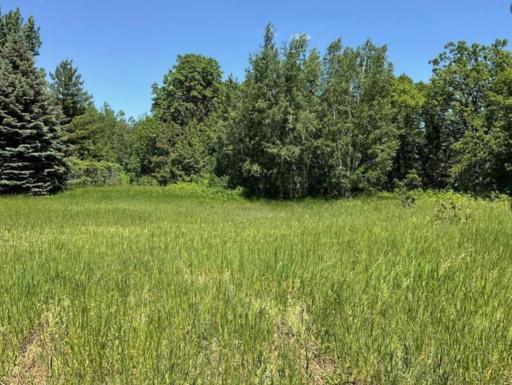 THIS IS YOUR NEW .66 ACRE SYLVAN SHORES LOT, WITH MATURE TREES AND AN AREA ALREADY CLEARED AND READY FOR YOU TO MAKE YOUR DREAM A REALITY, COMPLETE WITH A COMPLIANT SEPTIC SYSTEM ! POWER IS IN, BUT NOT CURRENTLY ON.