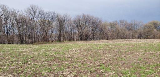 XXXX Echo Avenue, Lonsdale, MN 55046