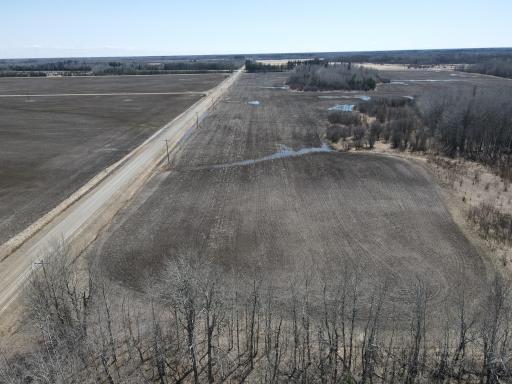 East Field facing South (About 20 acres of tillable)