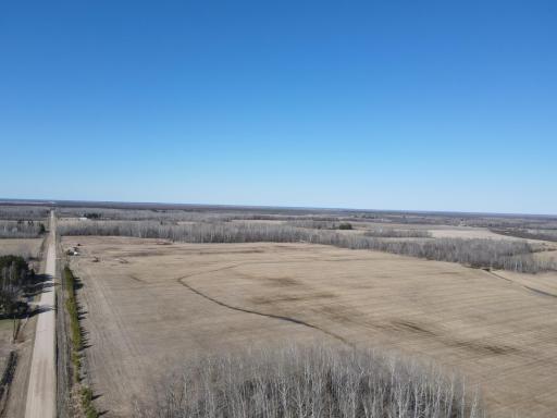 NW tillable field facing NW (About 50 acres)