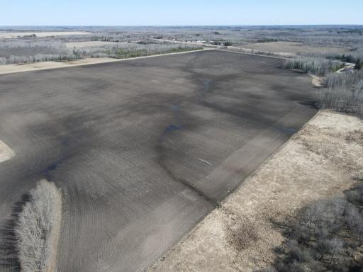 East tillable ground facing SW (About 100 acres)