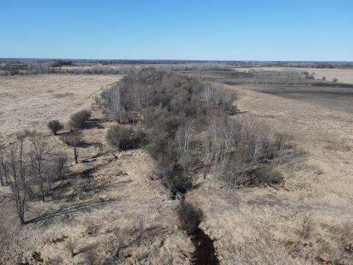 Wooded section in the center of the property