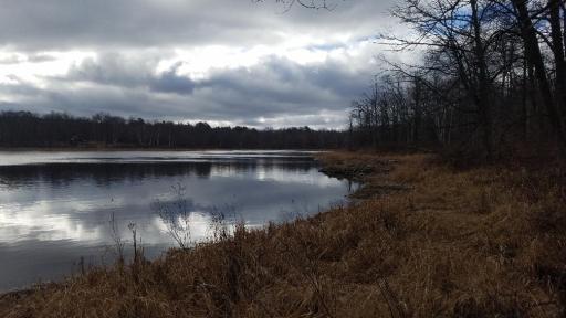 Natural Views of County Lake