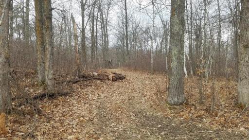 Trail to County Lake on Outlot A