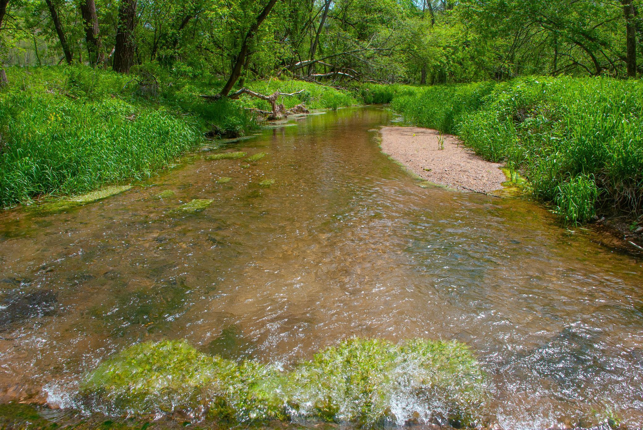 Paradise with private 3/4 mile meandering trout stream and abundant wildlife