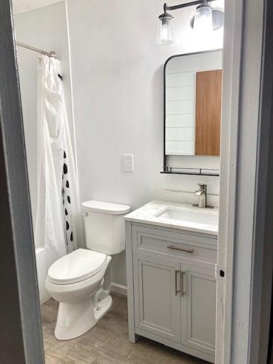 Tastefully remodeled bathroom with well appointed fixtures and LVP flooring.jpg