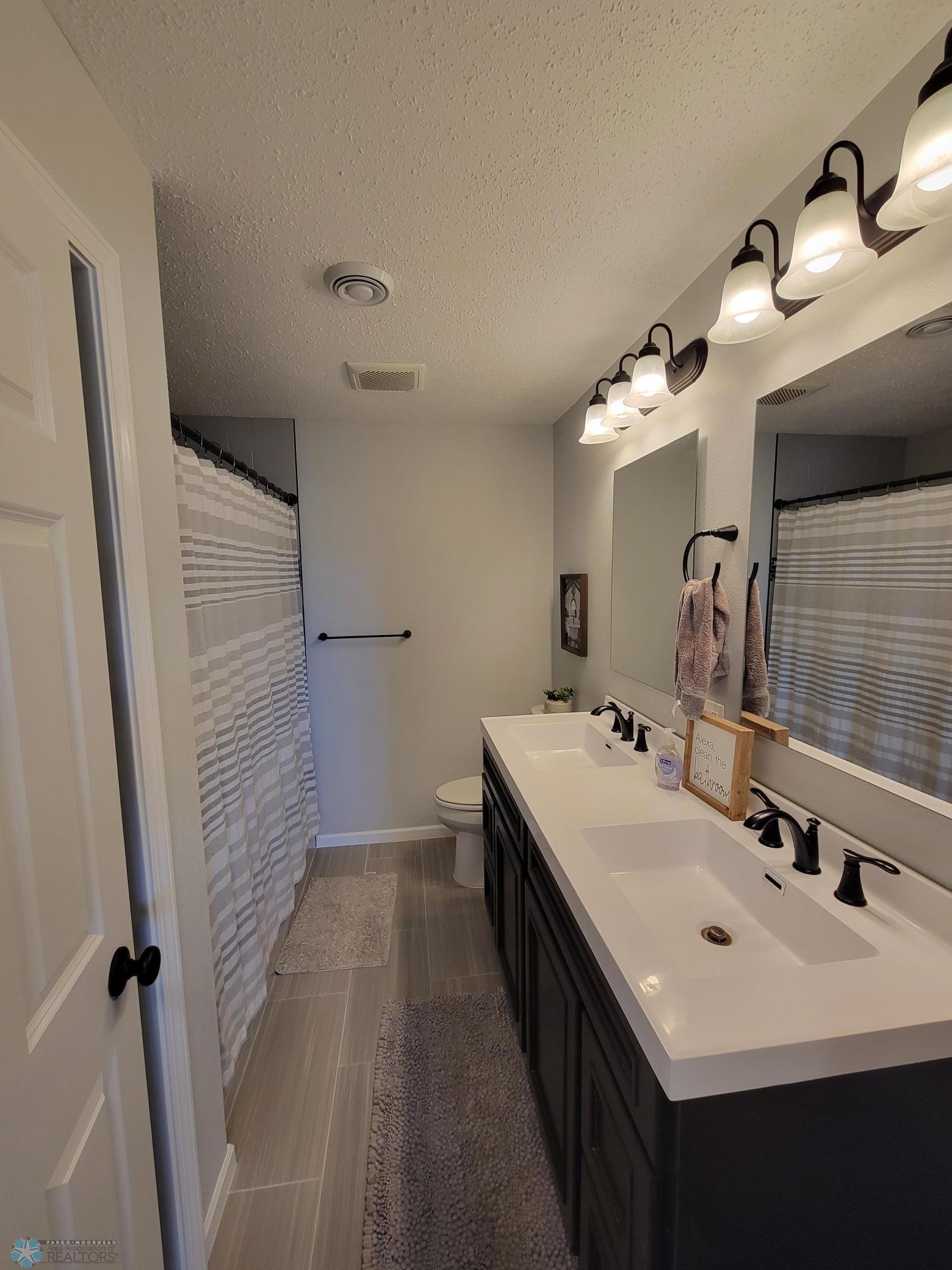 Lower Level Bathroom