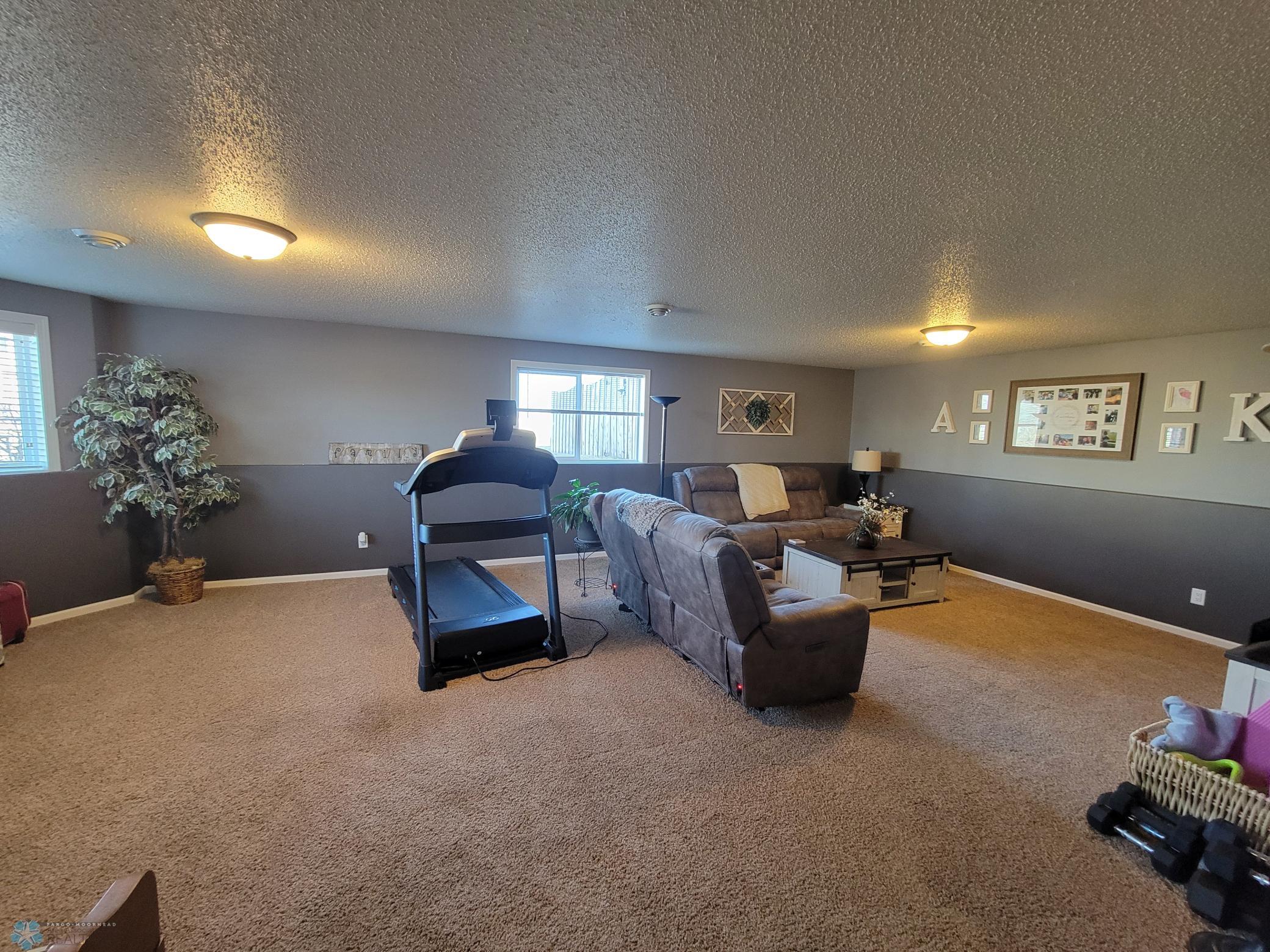 Lower Level Family Room