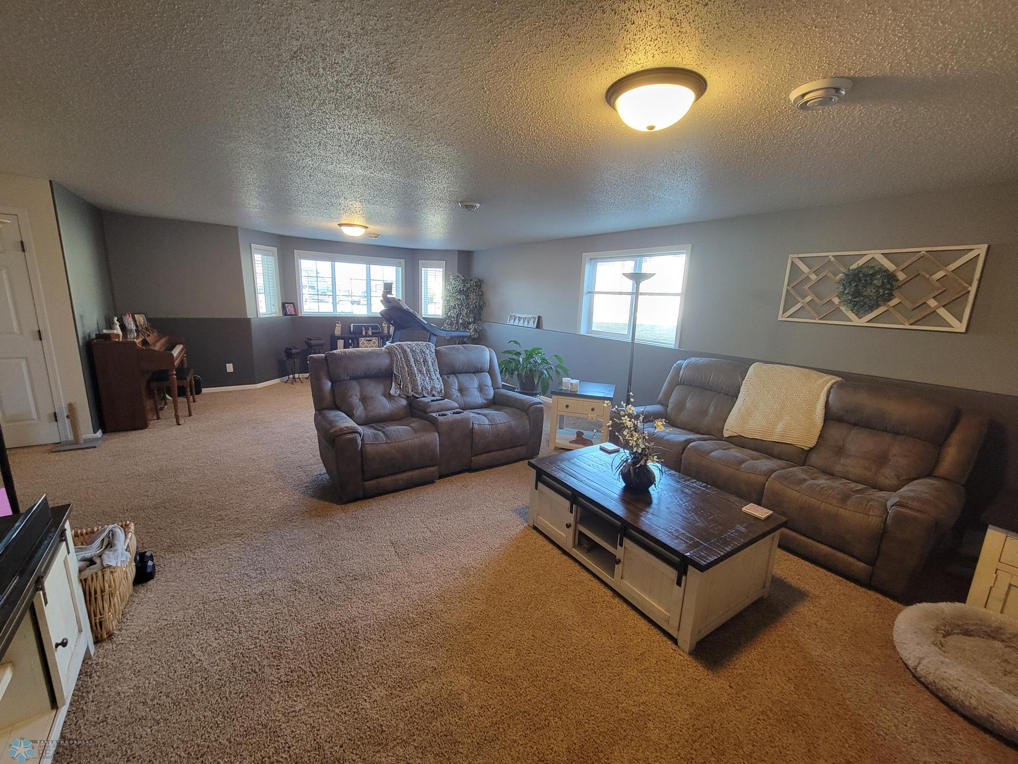 Lower Level Family Room