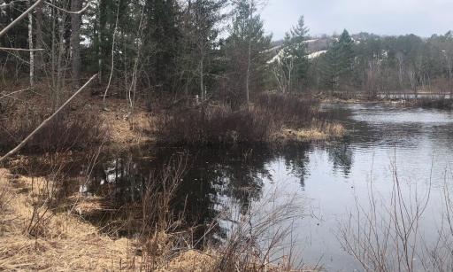 6391 Voyageurs Trail, Biwabik, MN 55708