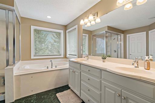 Primary bath features separate steam shower and jetted tub, double sinks_3250 Lakeside Dr