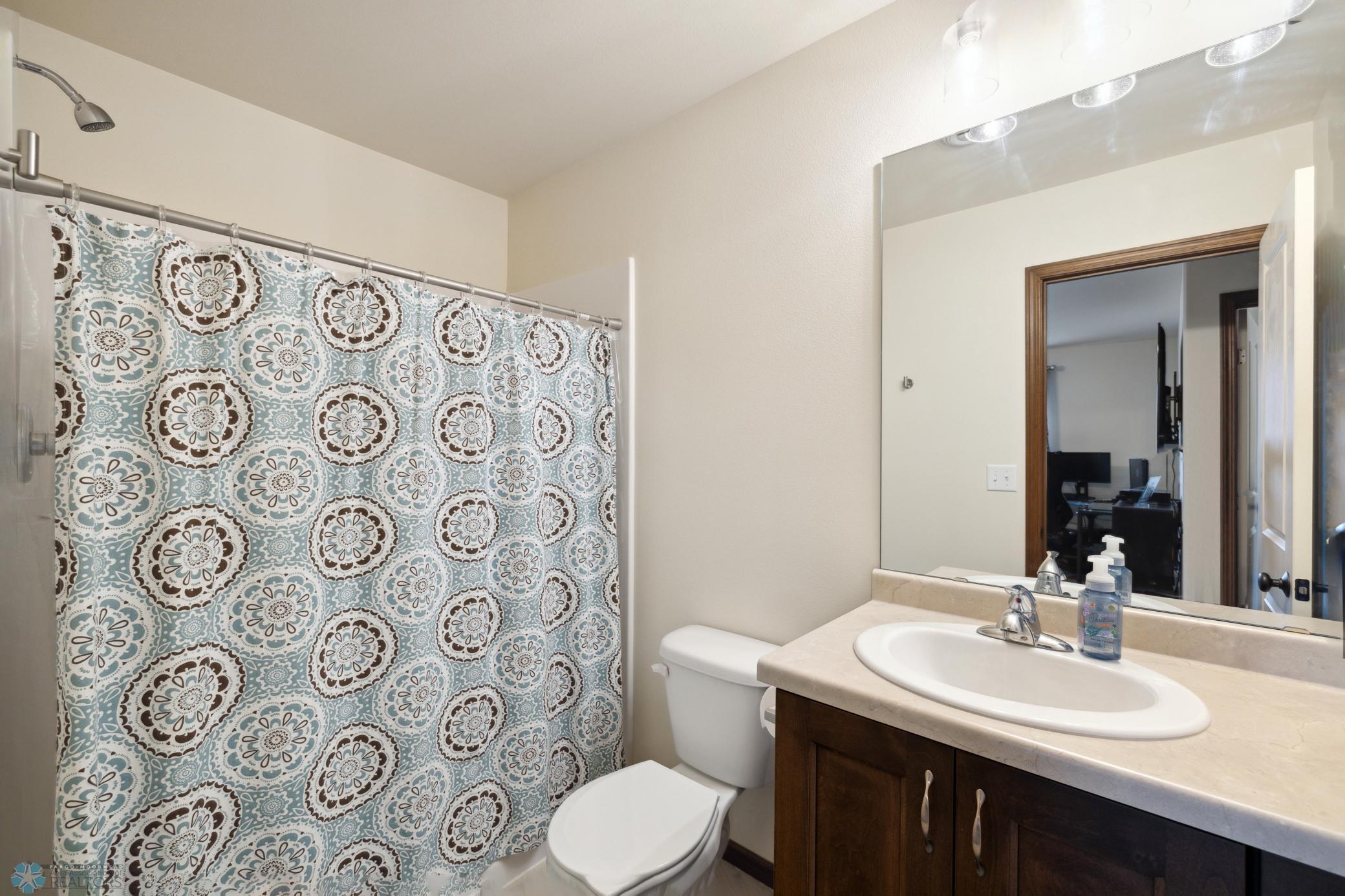 Lower Level Bathroom