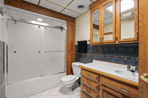 Basement bathroom.Basement ceilings & shower door